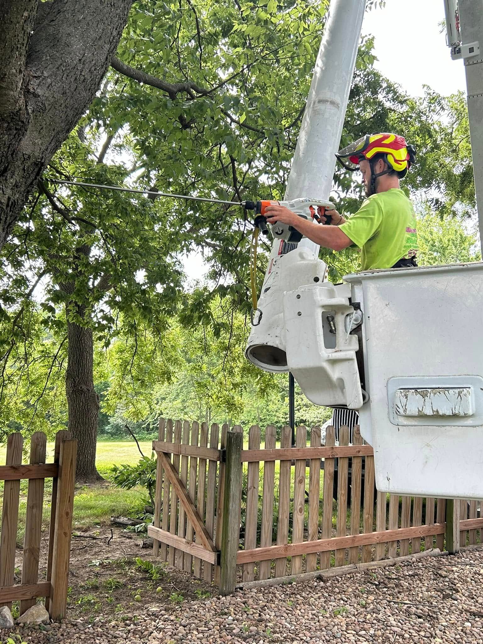 Person in a cherry picker trimming a tree, wearing a helmet and green shirt. Fence and trees in the background. Person in a cherry picker trimming a tree, wearing a helmet and green shirt. Fence and trees in the background.