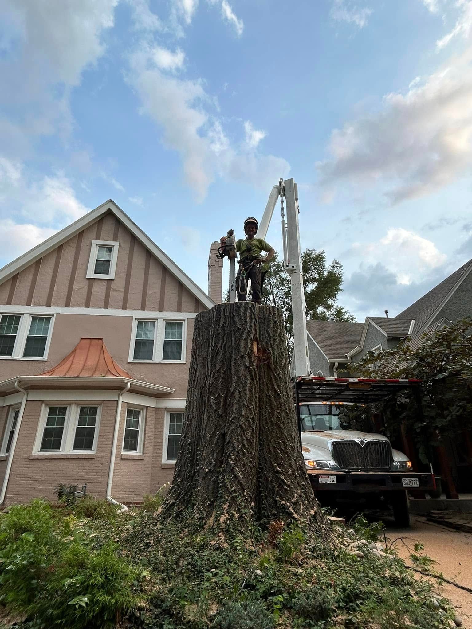 Tree service worker atop a large tree stump, using equipment next to a house under a cloudy sky. Tree service worker atop a large tree stump, using equipment next to a house under a cloudy sky.