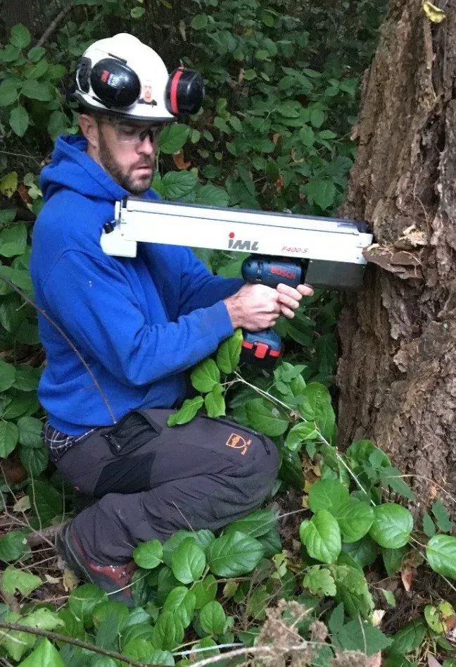 Arborist uses a device to analyze a tree trunk in a forest. Arborist uses a device to analyze a tree trunk in a forest.