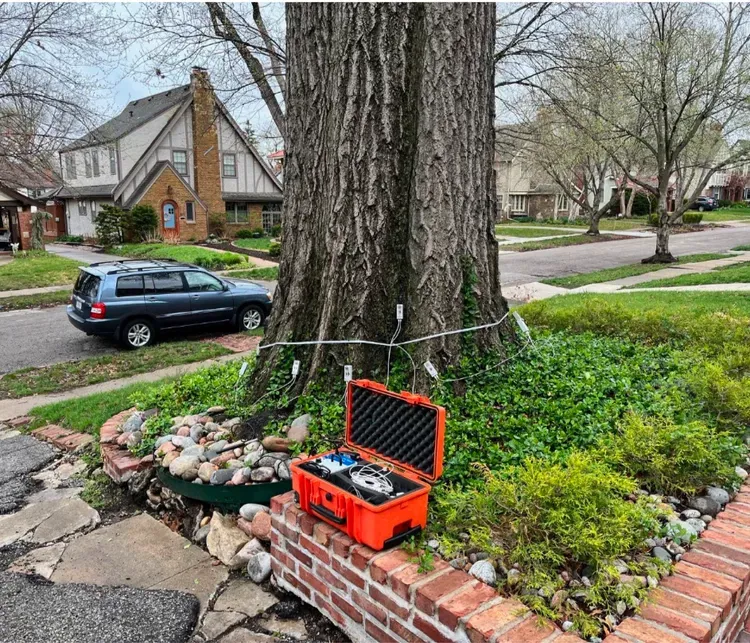 Orange case open near tree trunk with wiring and sensors. Green foliage, brick border, car, and houses in background. Orange case open near tree trunk with wiring and sensors. Green foliage, brick border, car, and houses in background.