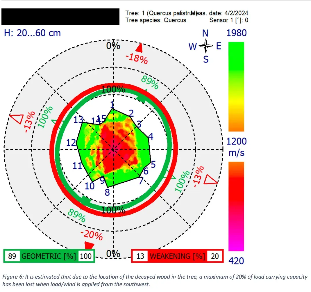 Radial diagram showing tree health data: sound velocity (m/s) in colors, with percentages.