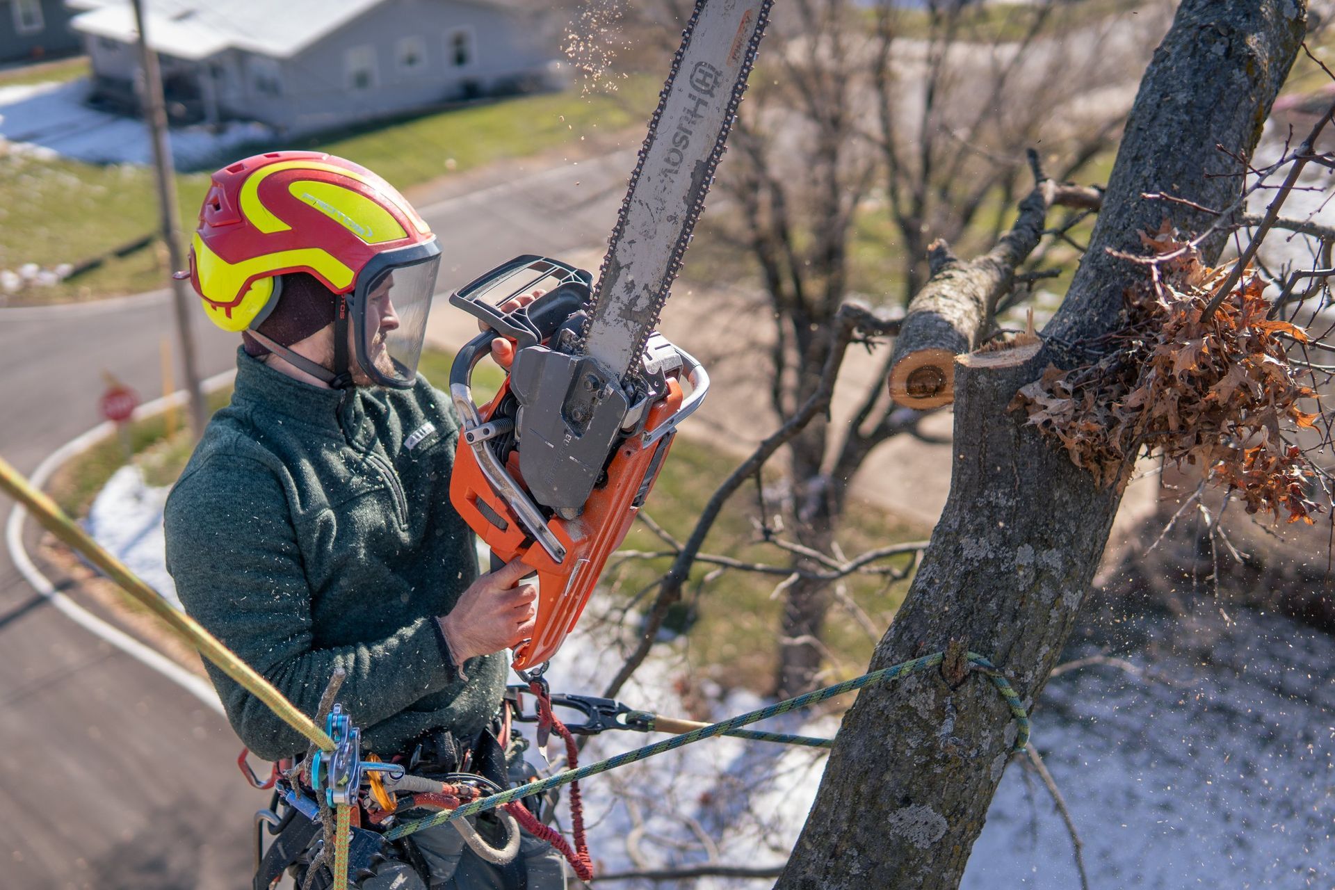 Arborist cutting a tree branch with a chainsaw, wearing a helmet and safety gear. Arborist cutting a tree branch with a chainsaw, wearing a helmet and safety gear.