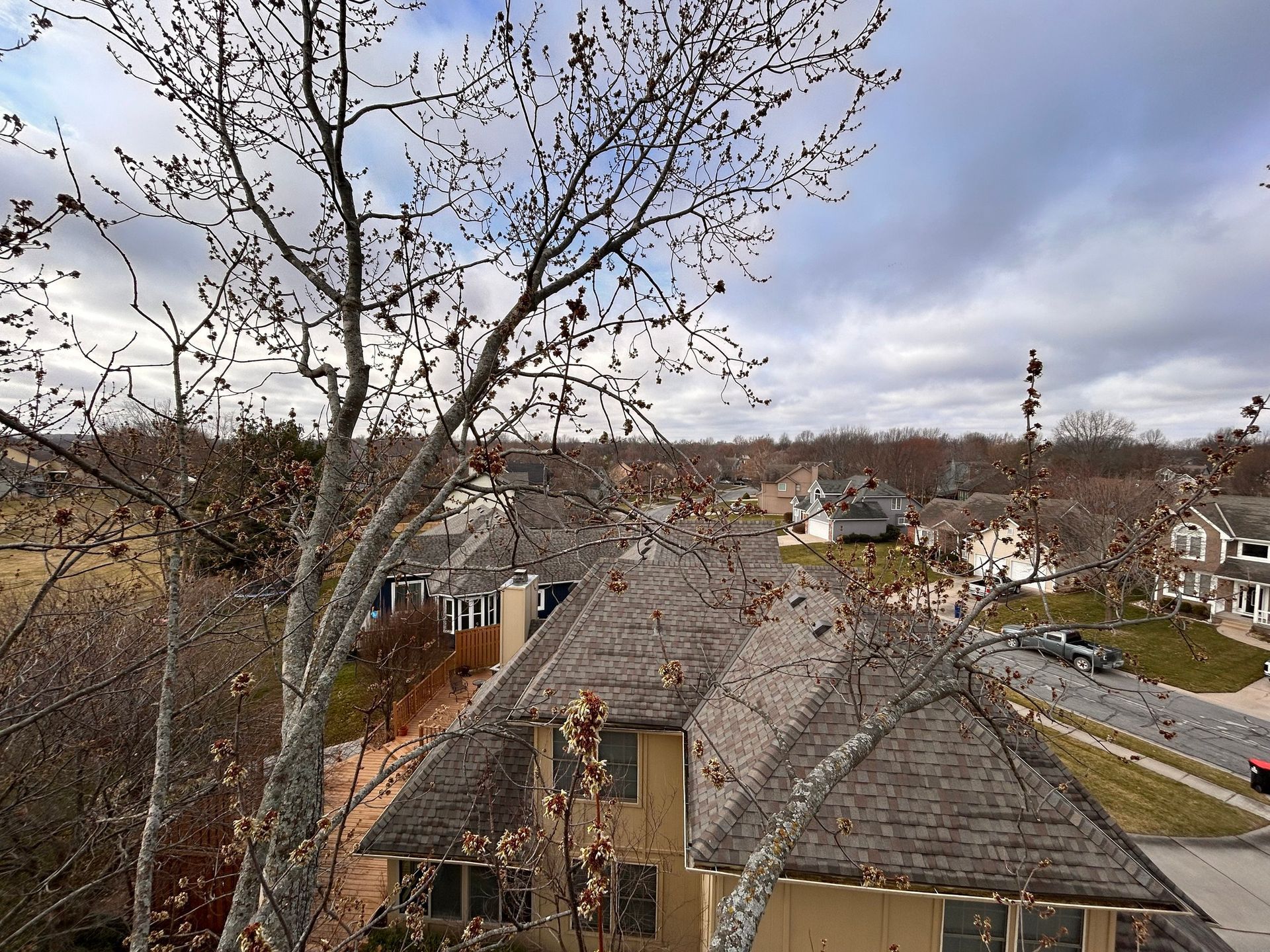 View from a tree: houses with brown roofs under a cloudy sky.