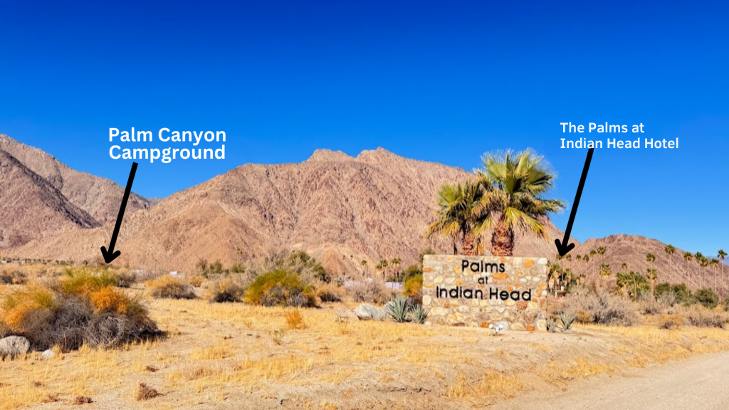A palm canyon campground with mountains in the background
