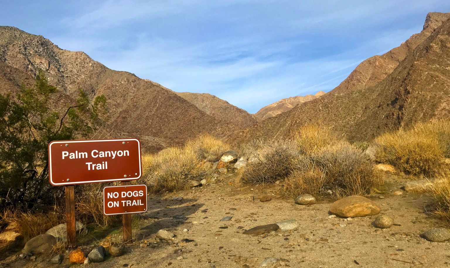 A sign that says palm canyon trail on it