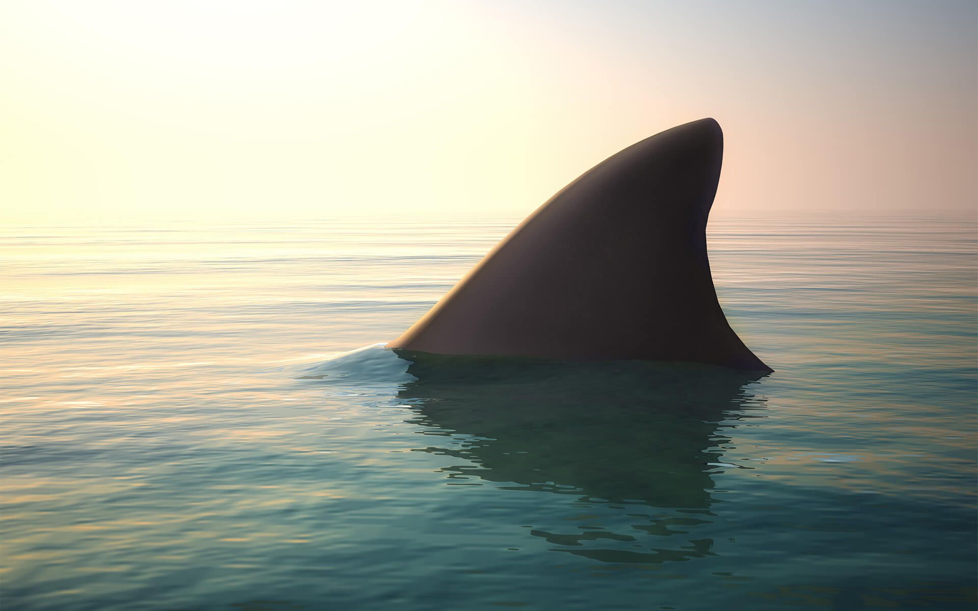 Is there a hidden risk in your super fund?