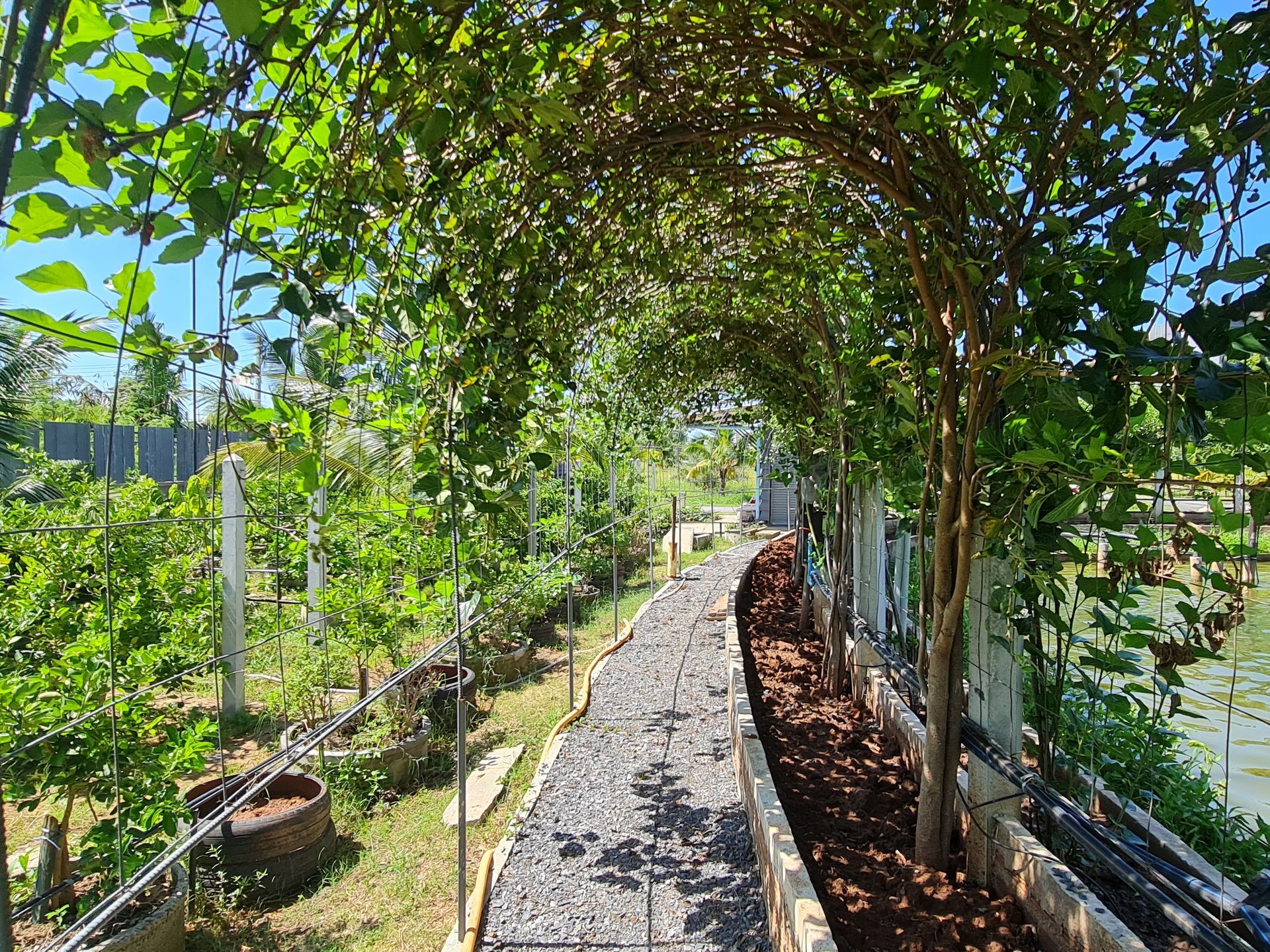 Aisana Hotel Korat - Organic Farm