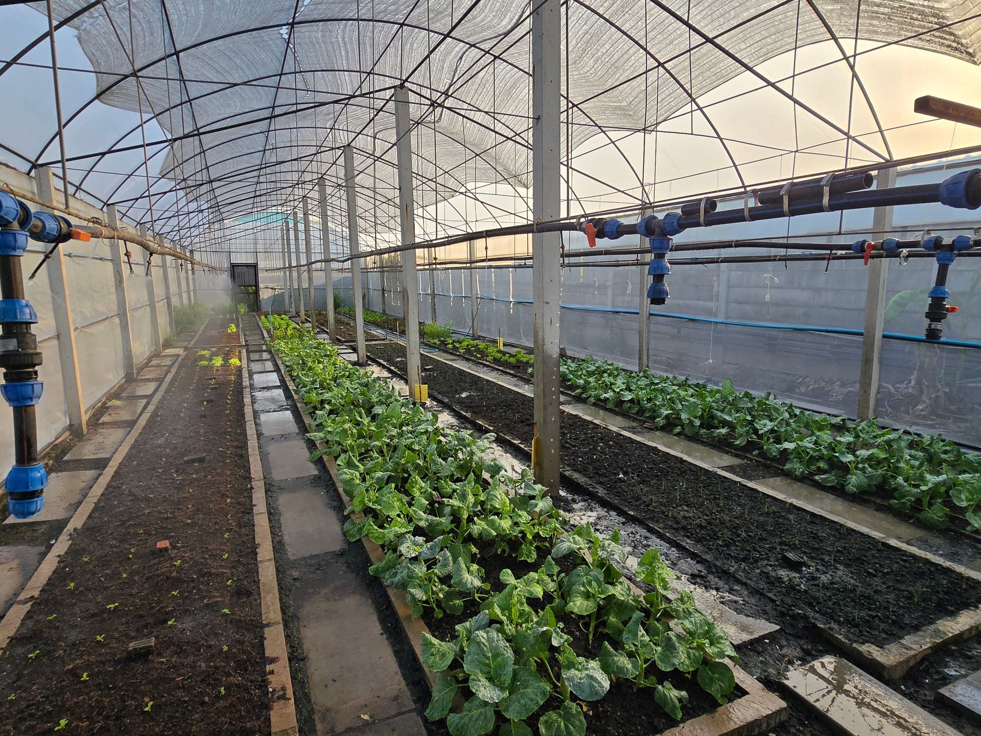 Aisana Hotel Korat - Organic Farm
