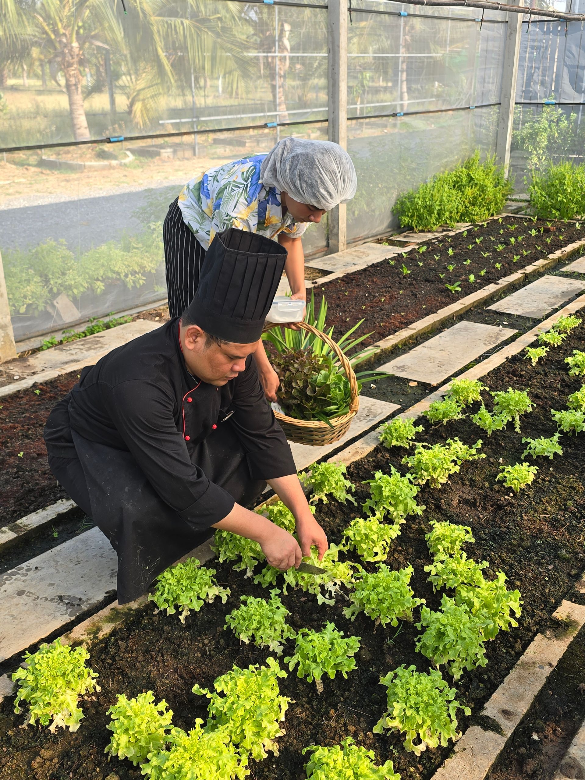 Aisana Hotel Korat - Organic Farm