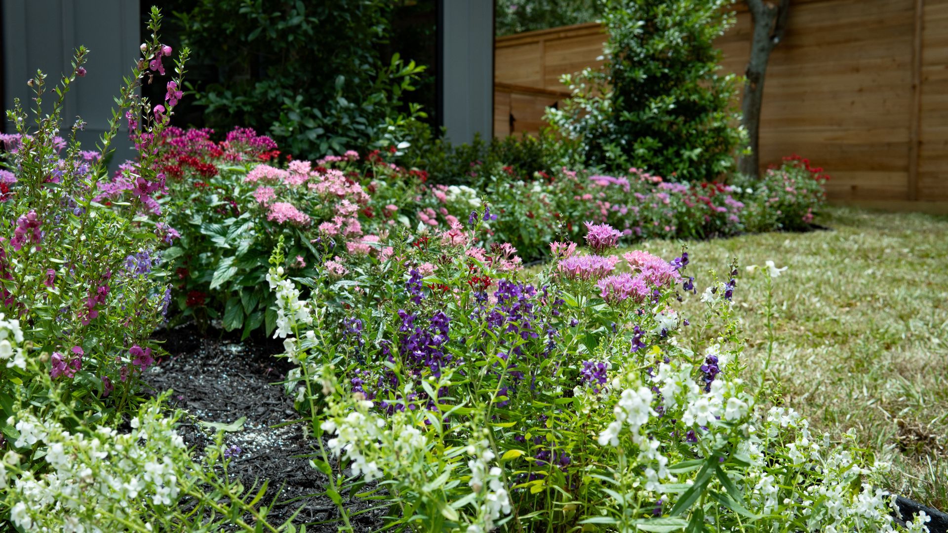 Blooming pink, purple, and white flowers in a garden bed beside a wooden wall and green lawn.