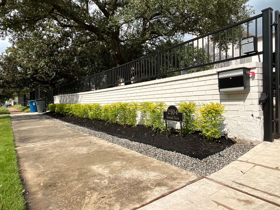 Residential sidewalk beside white brick wall with black fence and yellow shrubs
