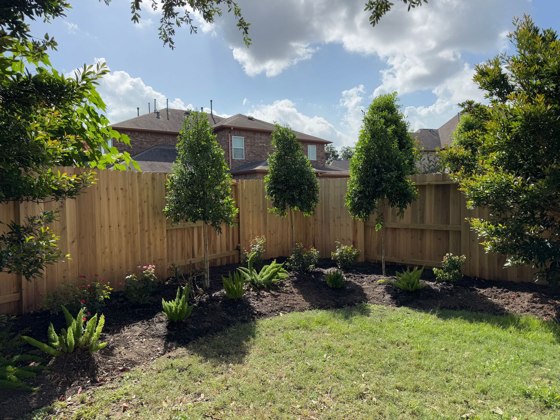 Backyard with wooden fence, young trees, garden beds, and a grassy lawn under a partly cloudy sky