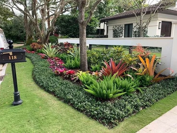 Landscaped front yard with colorful tropical plants, trimmed hedges, and a house behind a white wall.