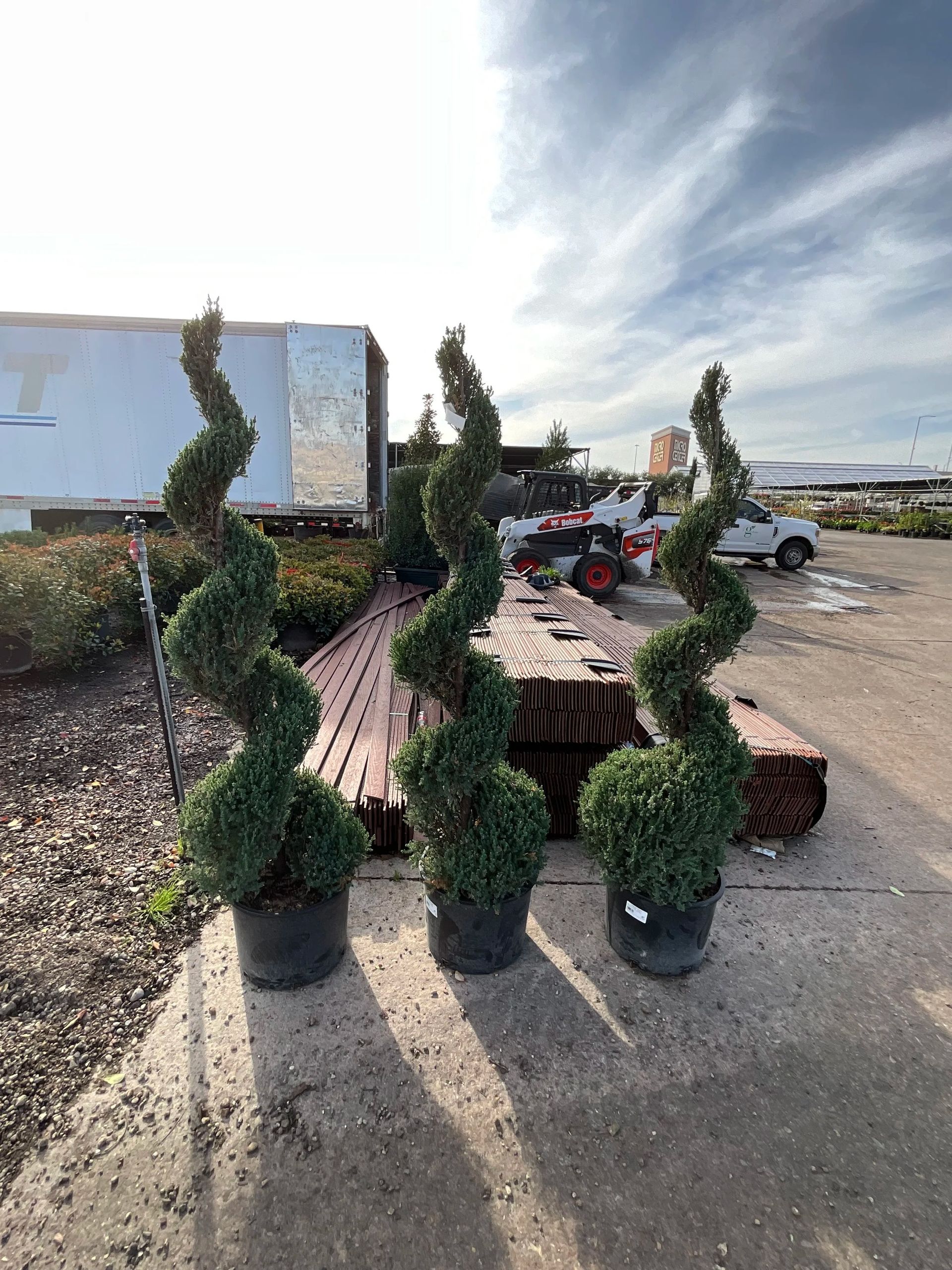 Topiary shrubs in pots arranged along a sidewalk near a parked motorcycle and a roadside building