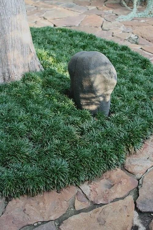 Small stone statue in a patch of green grass beside a tree and stone walkway.