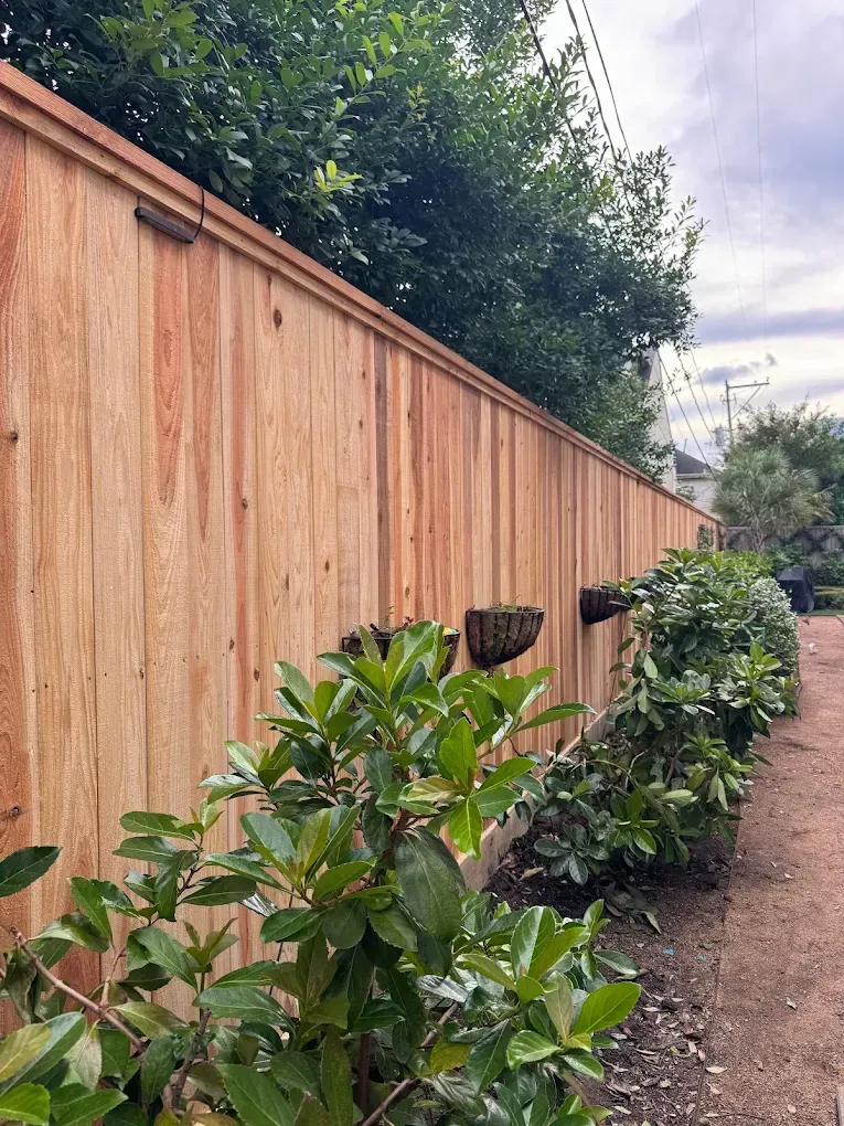 Tall wooden fence beside a garden path with leafy shrubs and dense greenery under a cloudy sky
