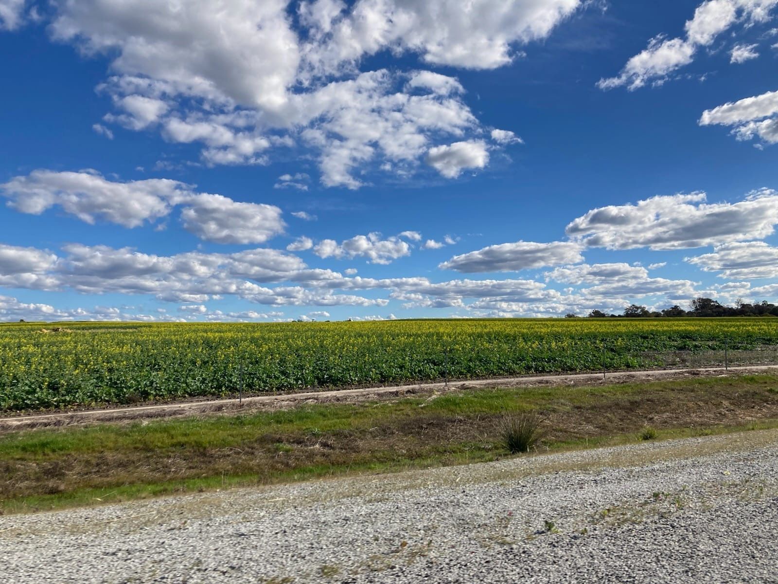 Rolling green farmland under a wide blue sky with clouds at Rawson Springs, Bindoon