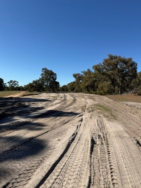 Tire tracks on a sandy dirt road under a clear blue sky, with trees lining the roadside.