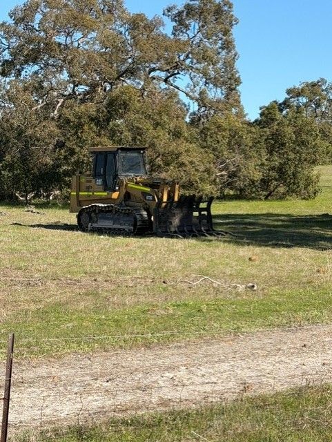 Yellow skid steer parked on grass near trees in a sunny field