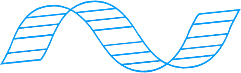Schema di una doppia elica del DNA, rappresentato da una forma curva con linee orizzontali.