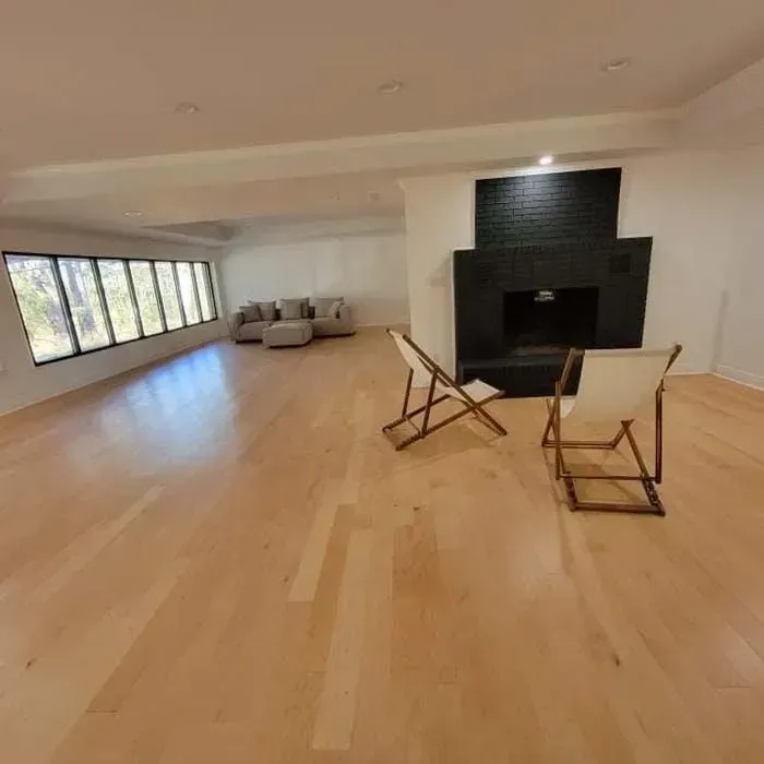 Spacious, empty living room with light wood floors. Black fireplace, large windows, two chairs.