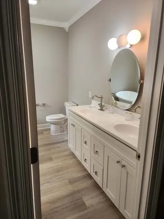 Bathroom with a white vanity, oval mirror, toilet, and gray walls and floor.