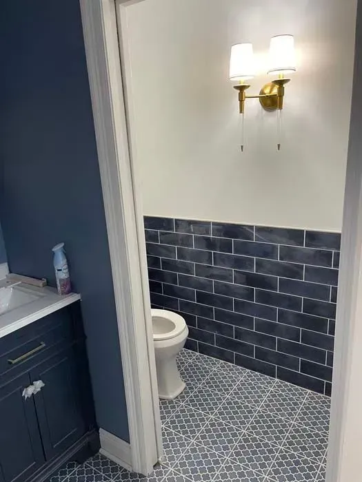 Bathroom: toilet, blue tile walls, gold sconce, blue vanity, white sink.