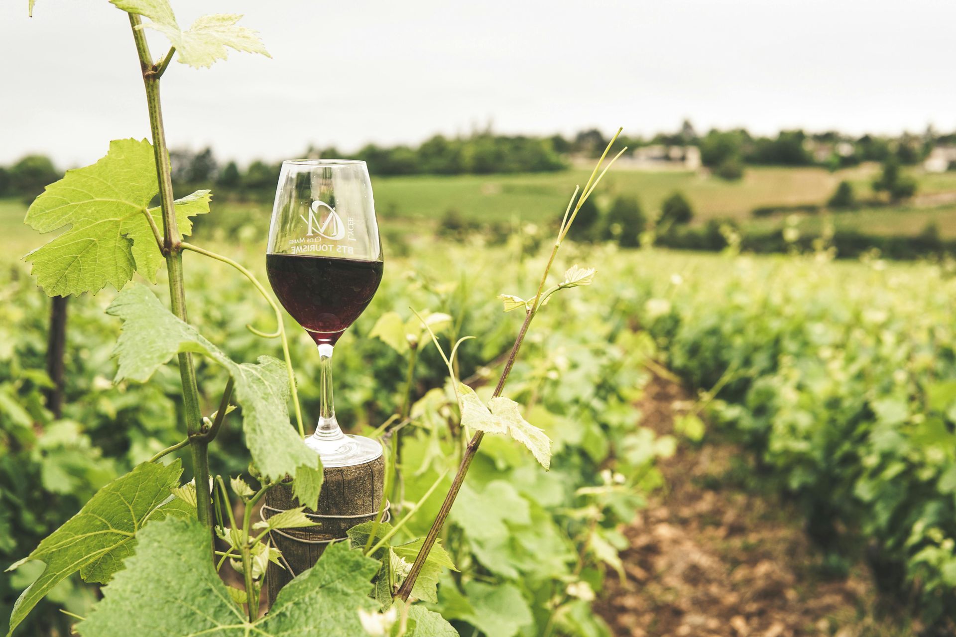 Wine tastings from Portage, Indiana