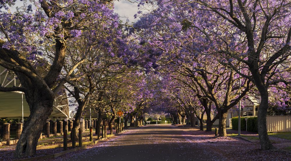 Port Stephens — Certified Traffic Control in the Port Stephens, NSW