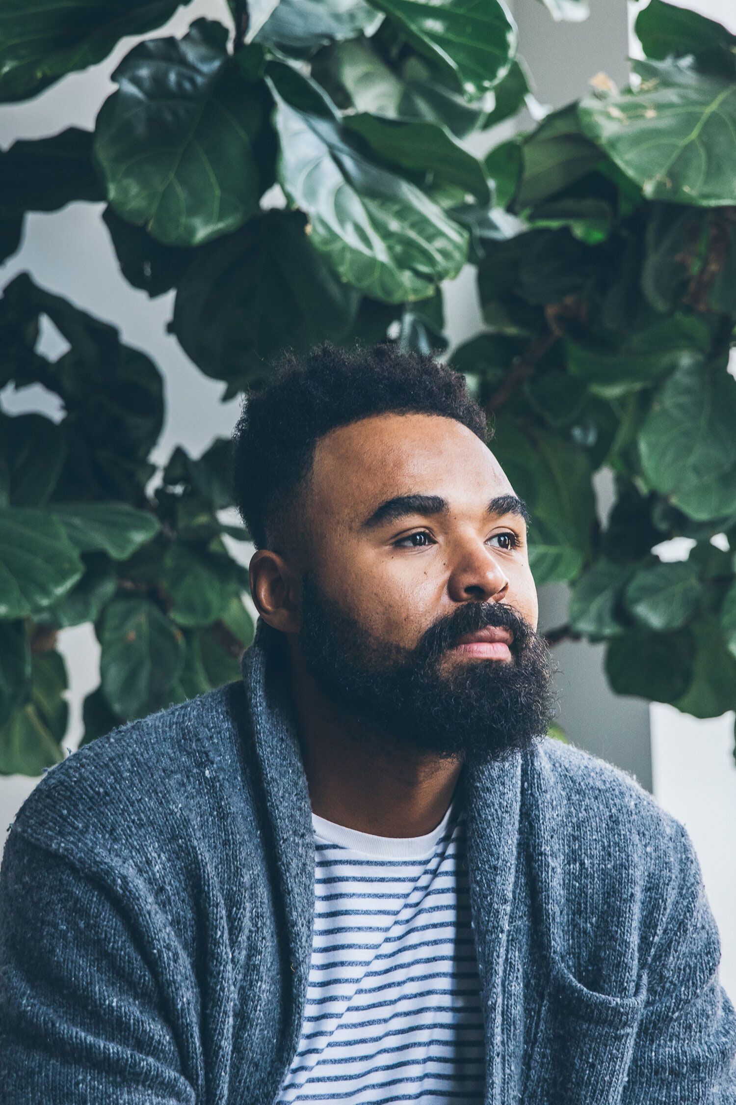 Hilton Carter, Author & Interior Stylist