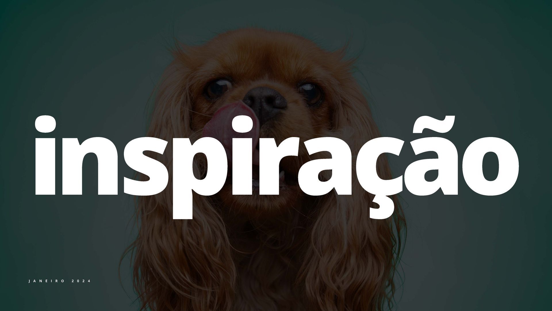 Um cachorro marrom está lambendo o nariz na frente da palavra inspiração