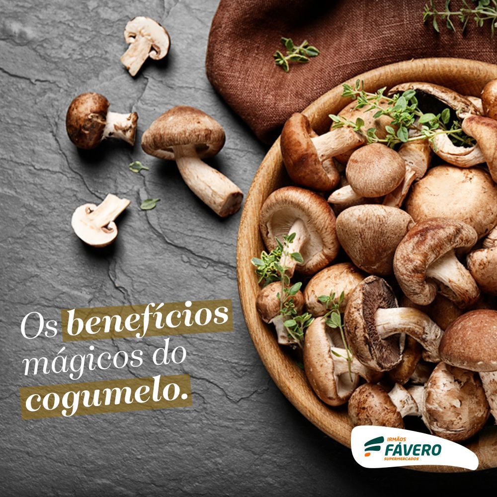 Cogumelos em uma superfície escura com texto português: “Os benefícios mágicos do cogumelo.”