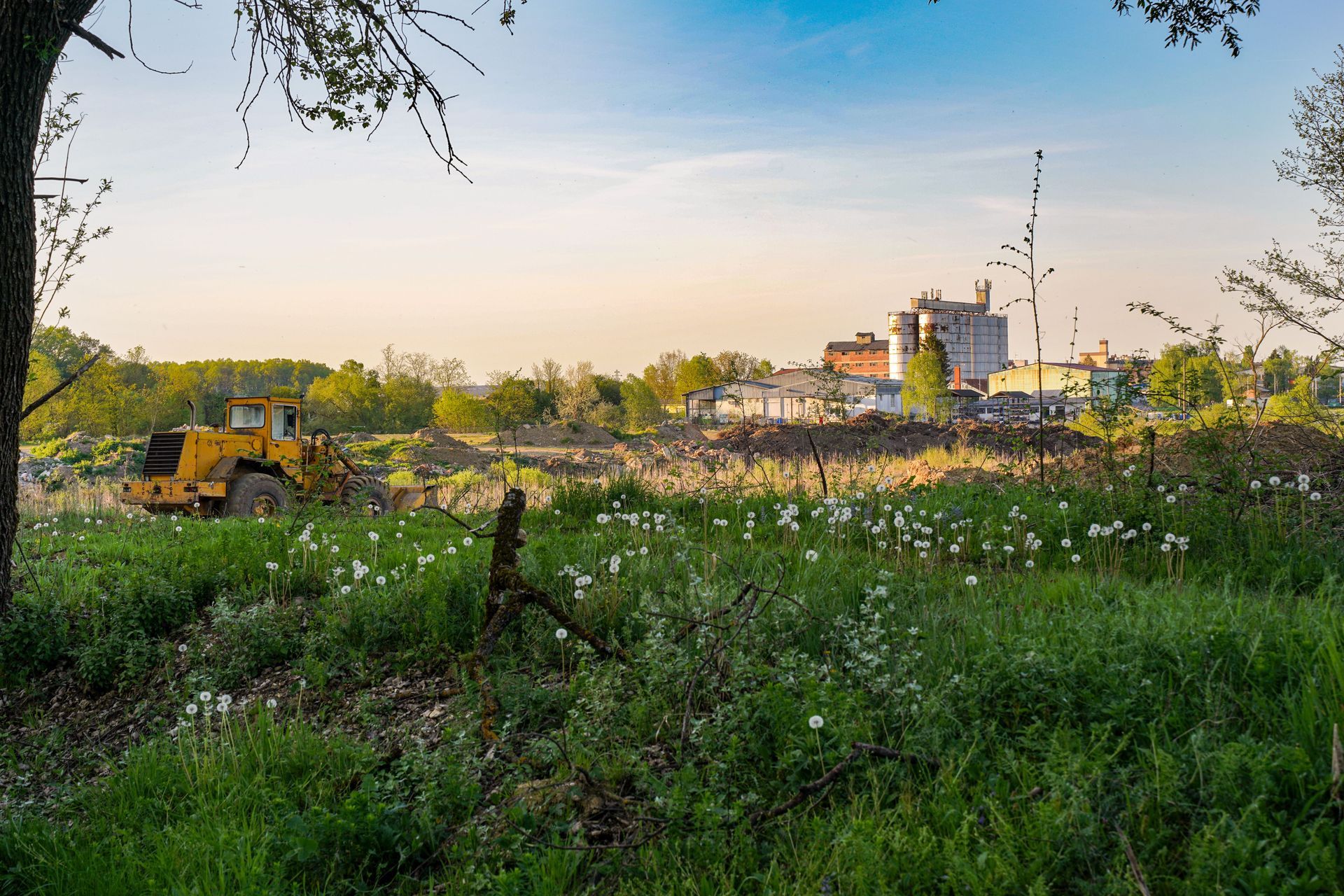 Rural field at sunset with wildflowers, a yellow bulldozer, and industrial buildings in the distance