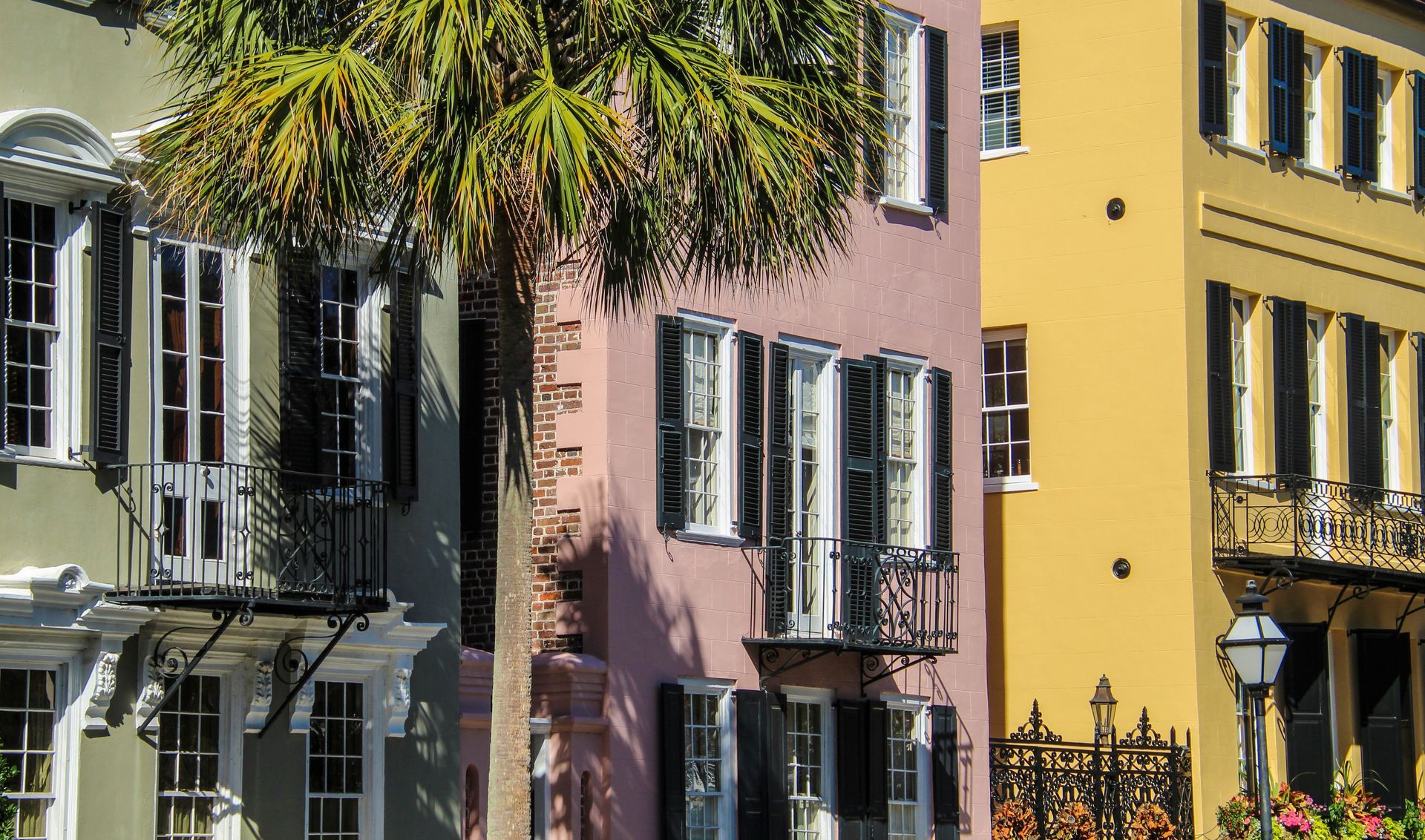 Colorful row of pastel townhouses with shutters and a palm tree in front