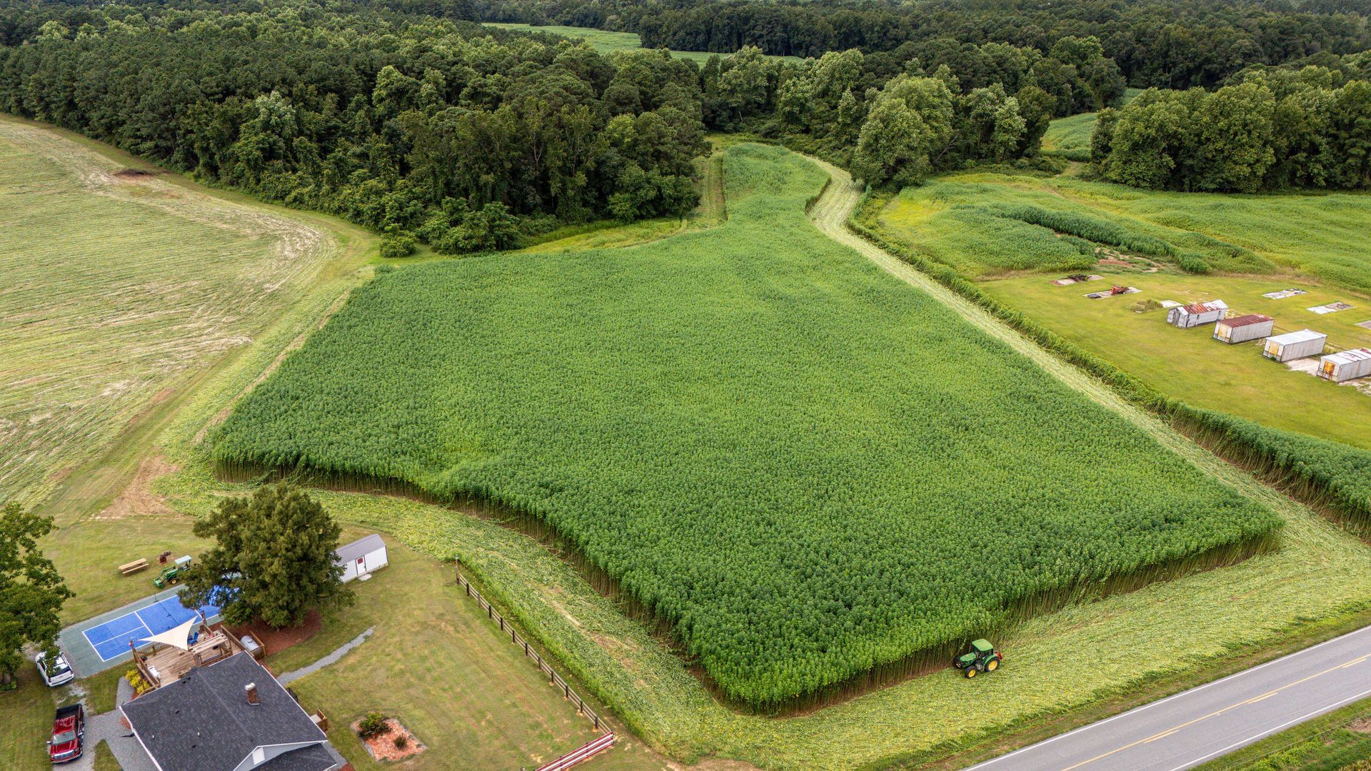Aerial view of a green cornfield beside a road, with forest and a house at the edge.