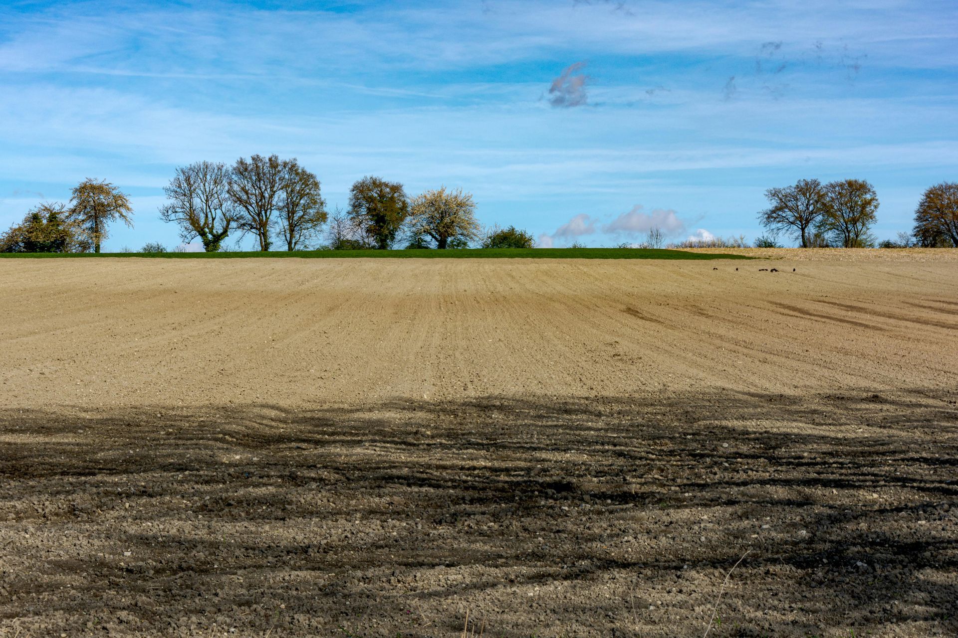 Plowed field under a blue sky with trees along the horizon