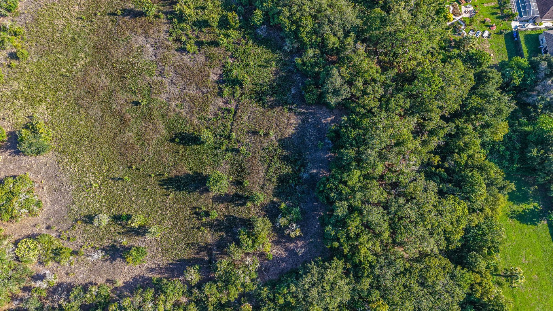 Aerial view of a grassy field bordered by dense green trees and shrubs.