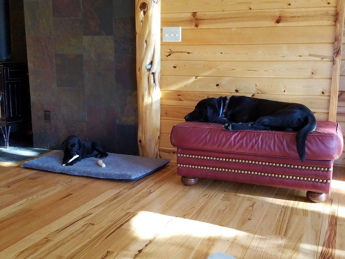Black dog sleeping on a red ottoman in a wood-paneled room, with another dog on a mat by the fireplace.