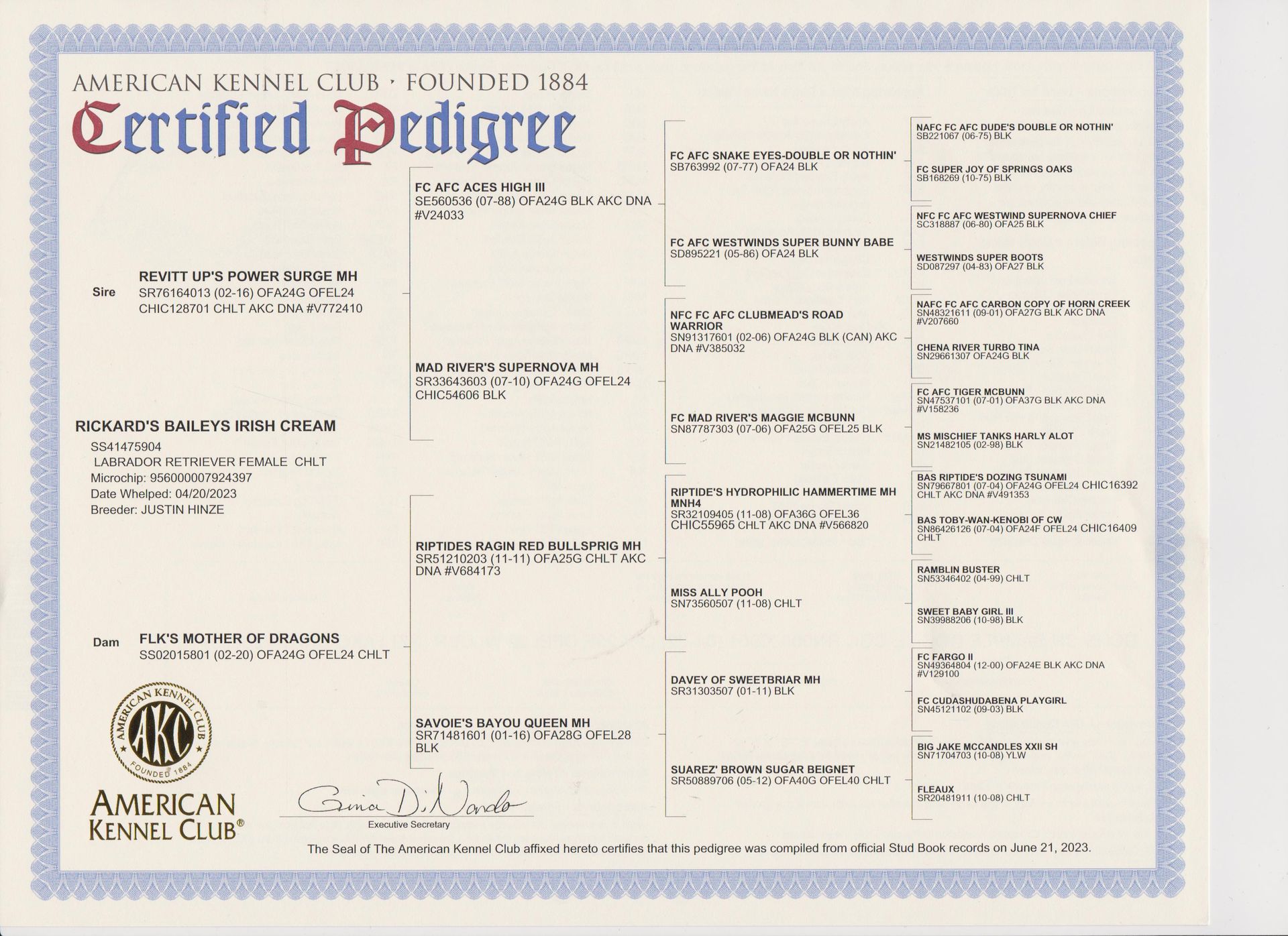 Certified pedigree document with blue border and black text on a cream background