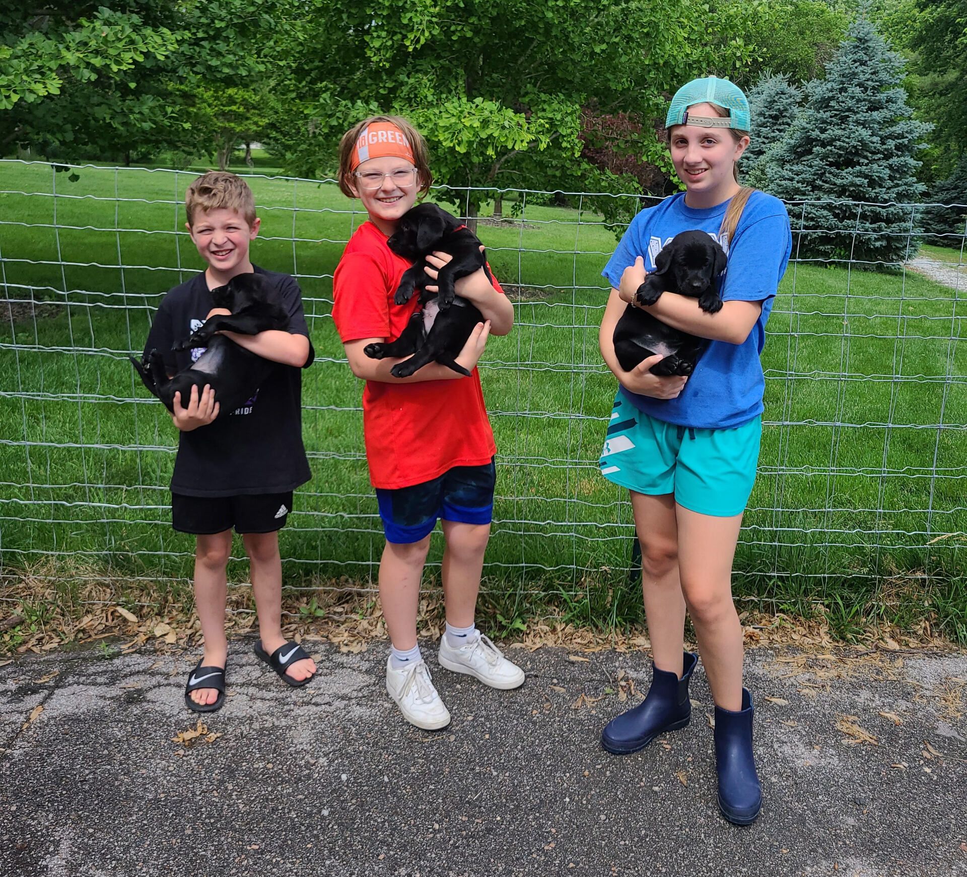 Three children standing outdoors on a path, each holding a small black dog, with trees and grass behind them.