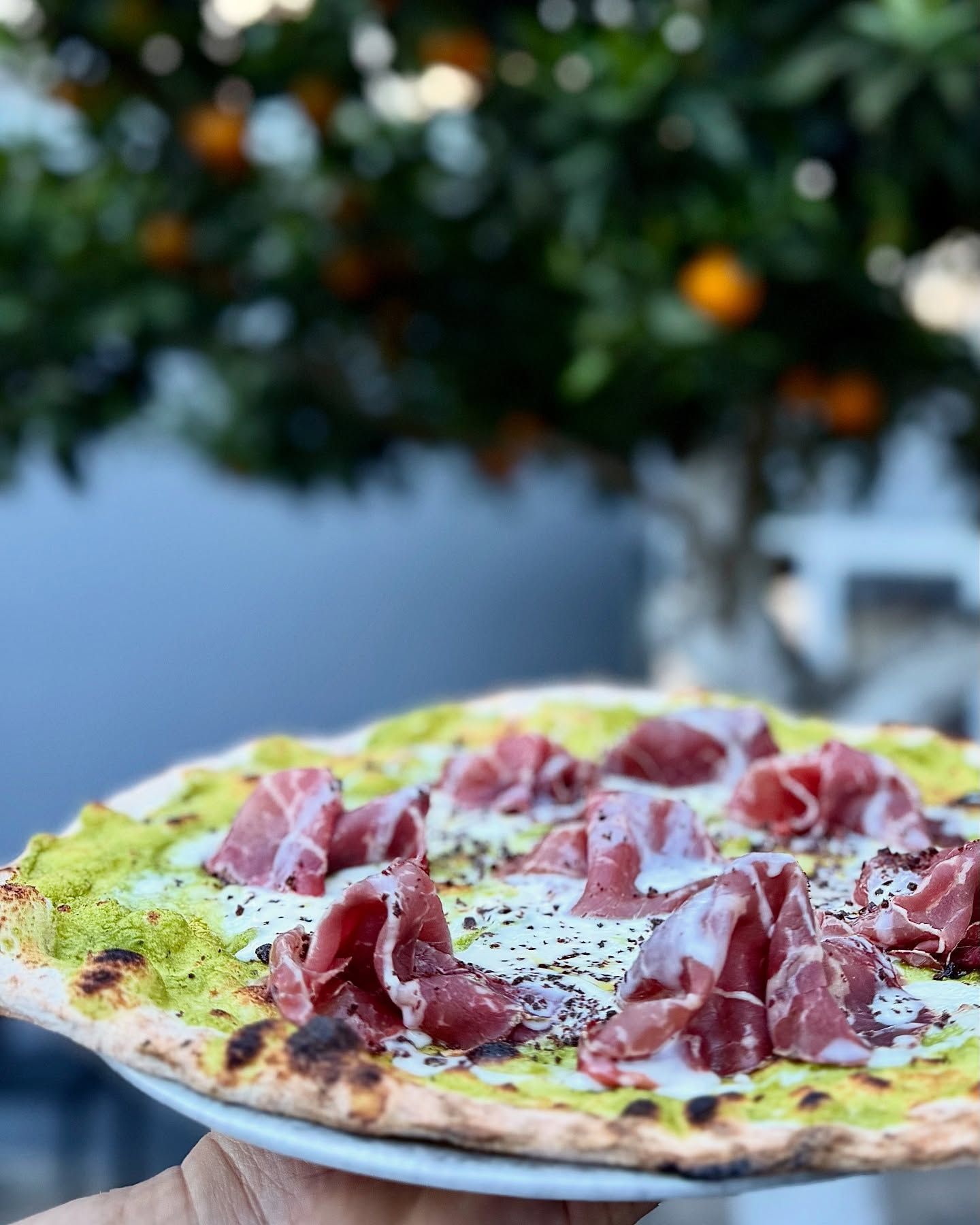 Pizza con prosciutto crudo su un piatto bianco, con sullo sfondo una vegetazione esterna sfocata.