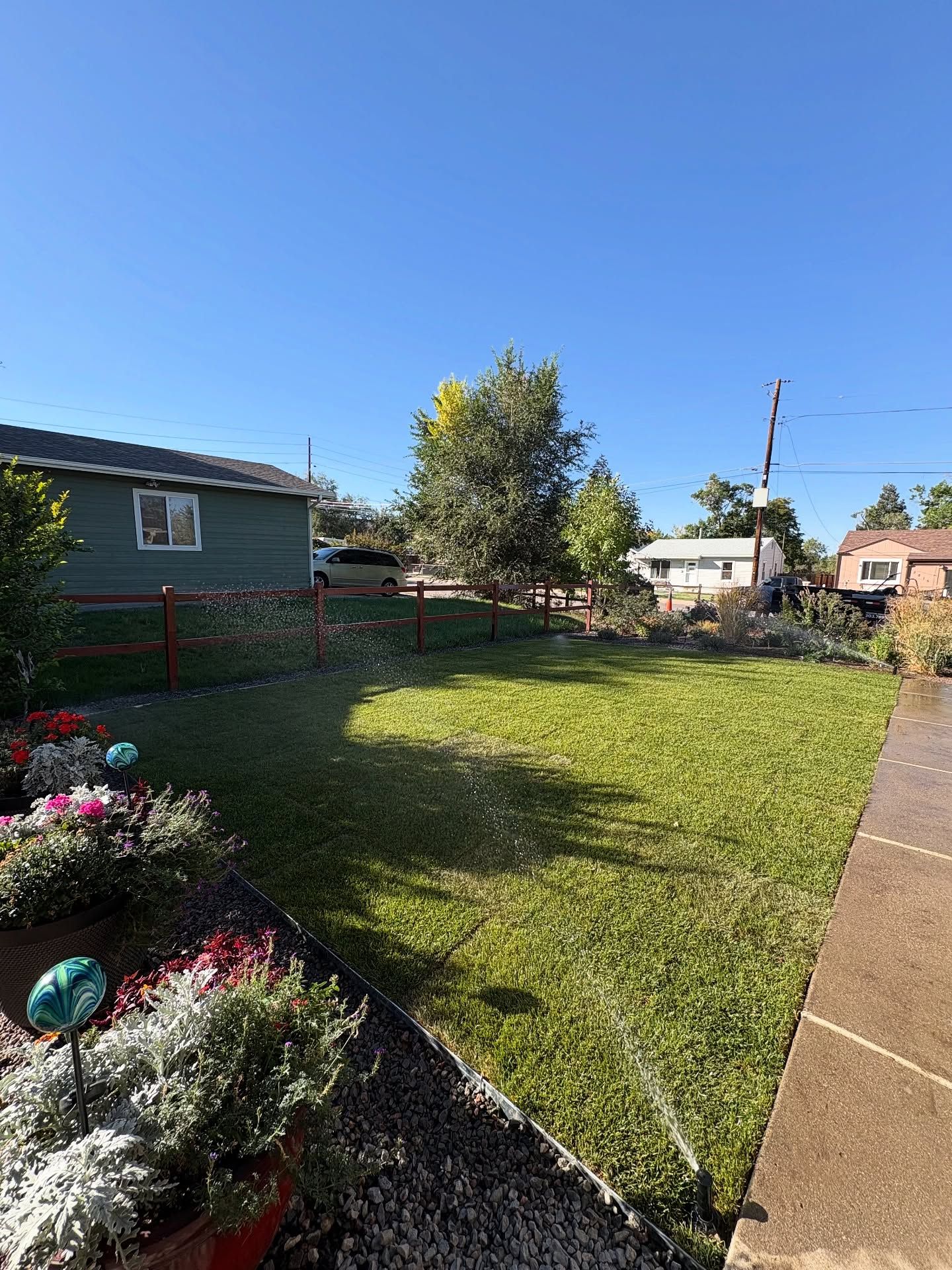 Lush green lawn in a backyard, flanked by a house and flowers on a sunny day.