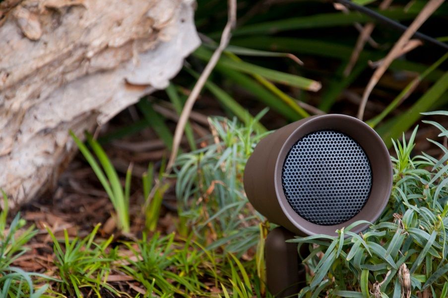 Brown outdoor speaker in garden with greenery and rock.