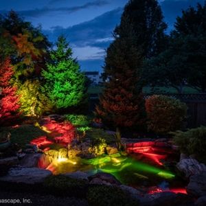 Nighttime landscape with illuminated trees and water feature. Red, green, and yellow lights highlight the plants and water.