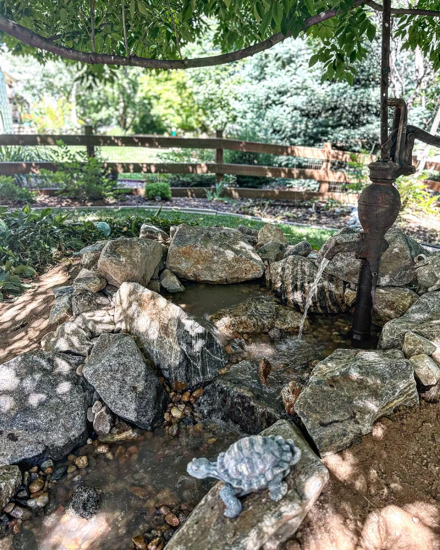Stone water feature with a rusted pump and a turtle statue, under a trellis, fence in the background.
