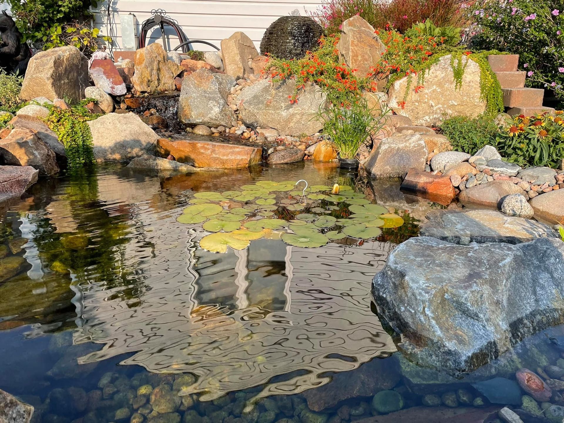 Pond with rocks and plants reflecting a white building.