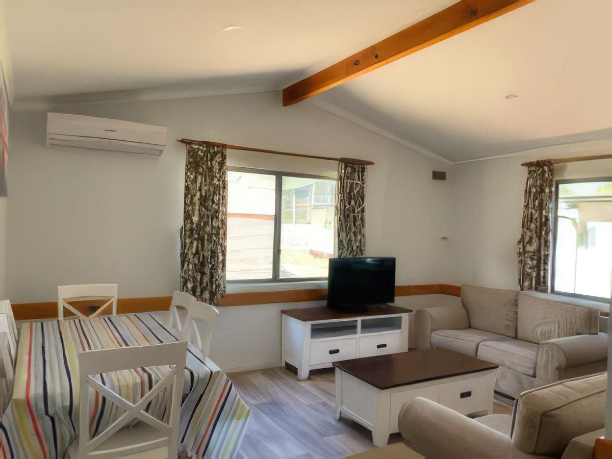 Bright living room with sofa, armchair, TV, dining table, and sunlight through windows