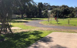 Park with winding gravel path, green lawn, and trees in bright sunlight.