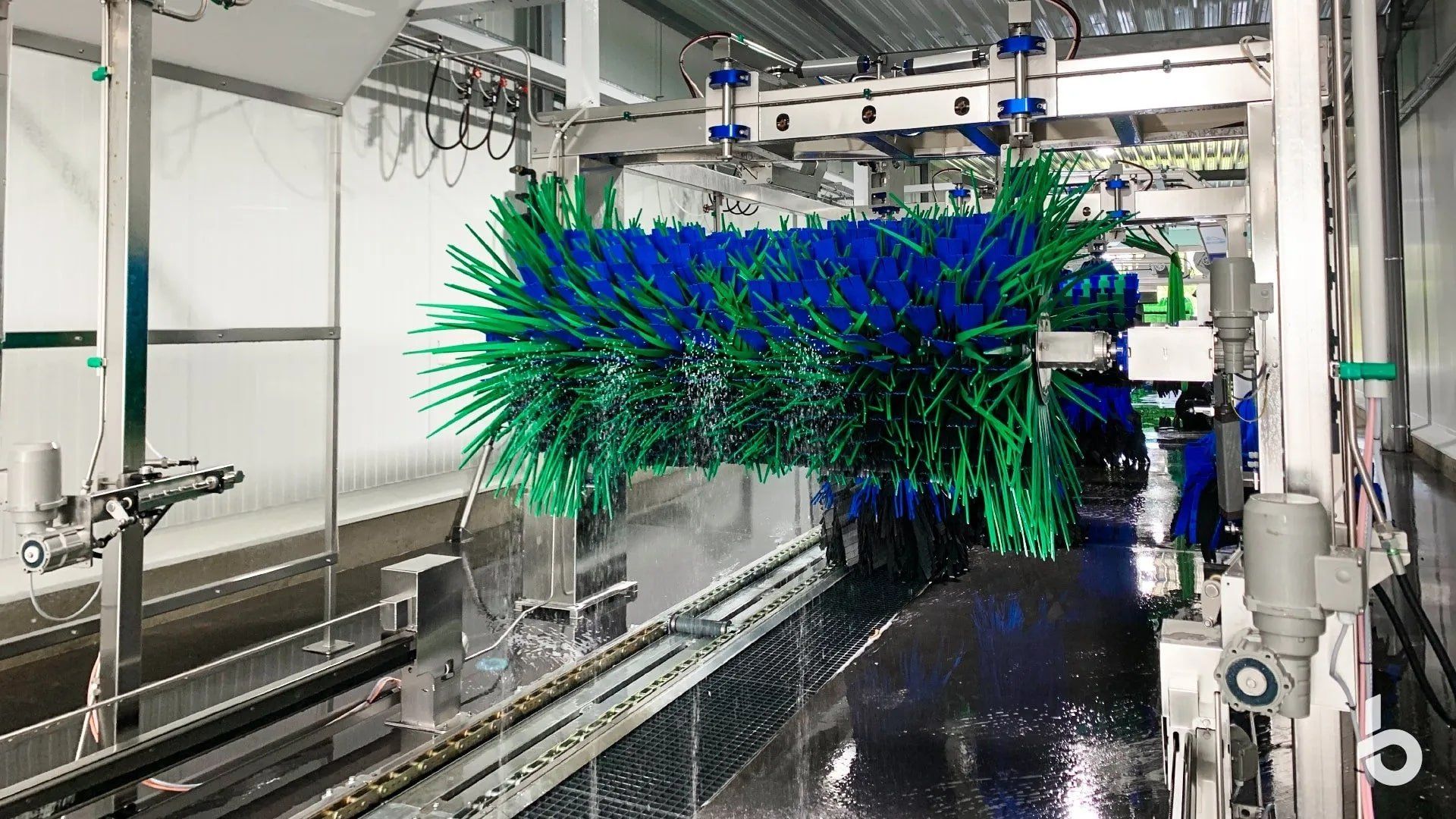 Carwash dakborstel