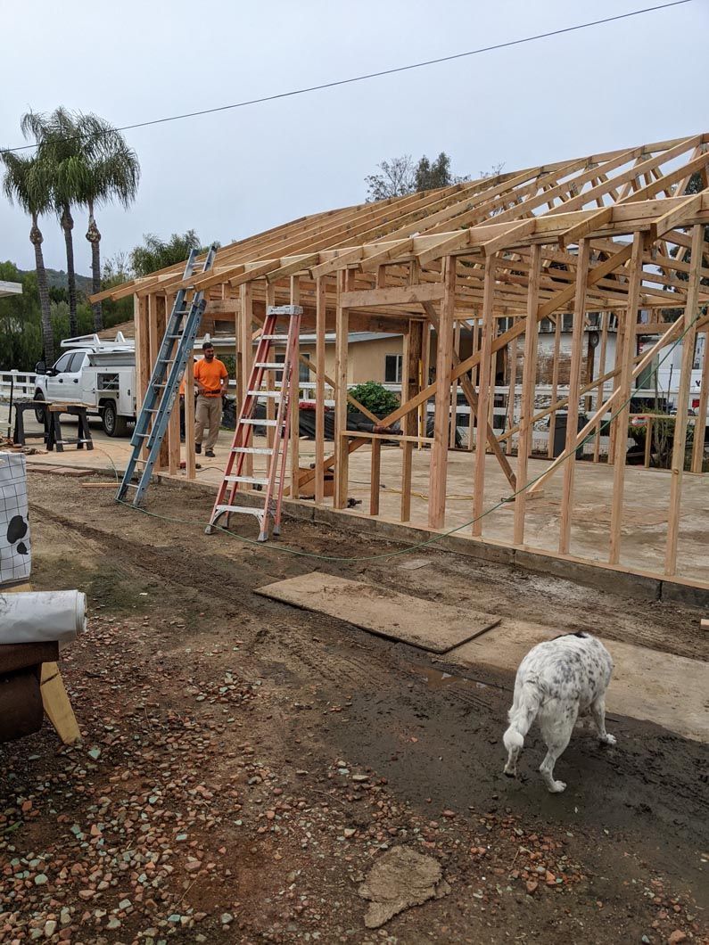 Workers framing a wooden house under construction, with ladders and a dog in the foreground.